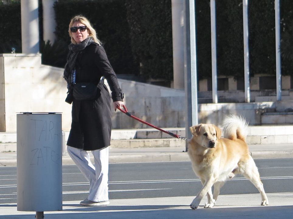FOTO Đir po gradu, nedjelja 28. siječnja 