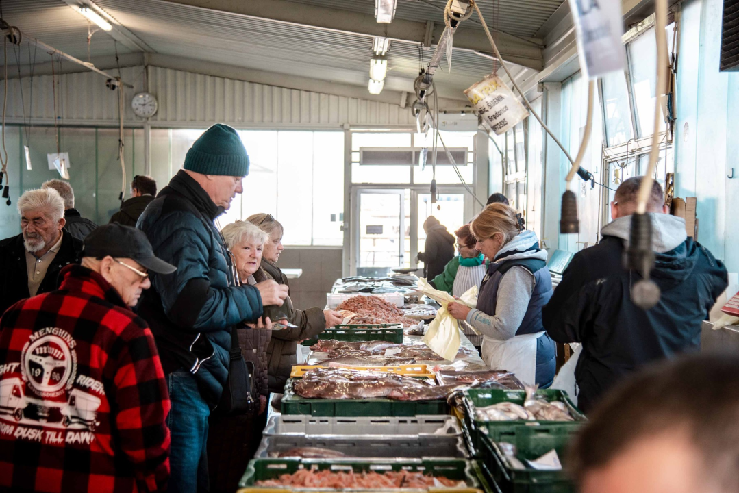 Šibenska peškarija danas nudi hamu, ribu na rubu istrebljenja u Jadranu