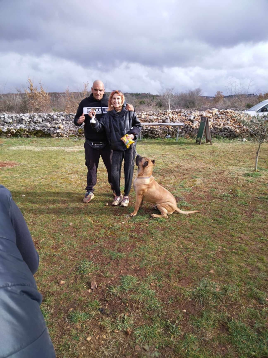 Marko Aleksić, interventni policajac i trener pasa: 'Odgoj psa treba shvatiti ozbiljno, a veću ljubav u životu nećete dobiti'