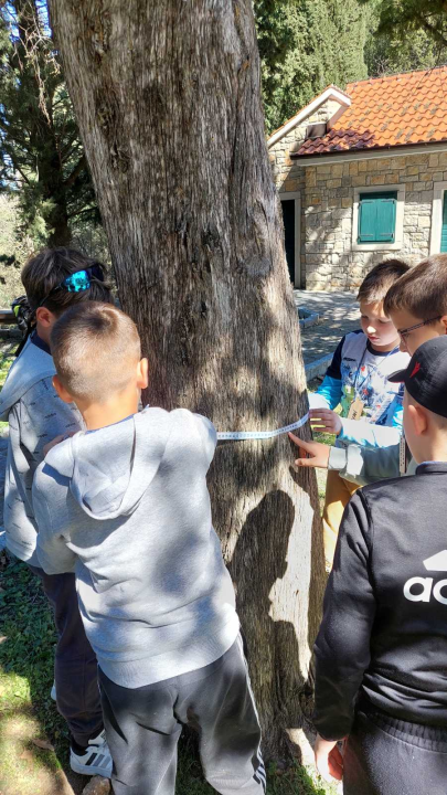 Obilježavanje Dana šuma i Dana voda u NP Krka: Na Stinicama održane radionice