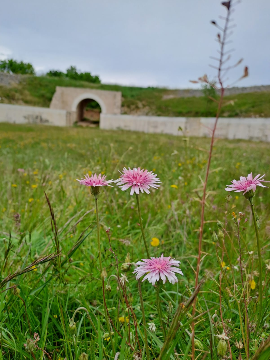 Studenti Turističkog menadžmenta VUŠ-a na terenskoj nastavi u NP Krka