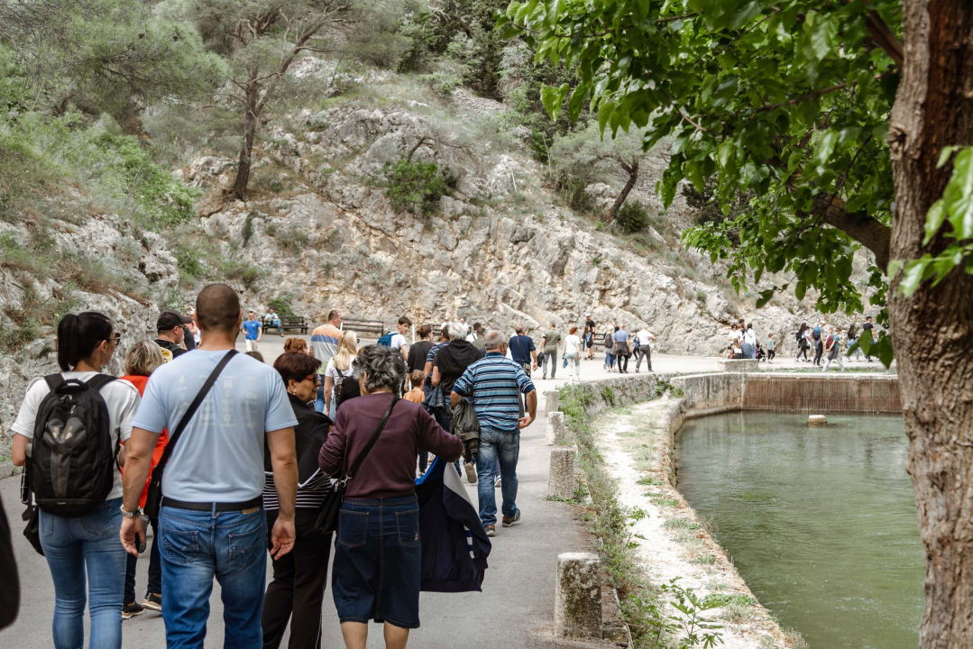 Podijeljeno tisuću sadnica lavande i lovora: 'Želimo očuvati naše ekosustave i poticati bioraznolikost' 