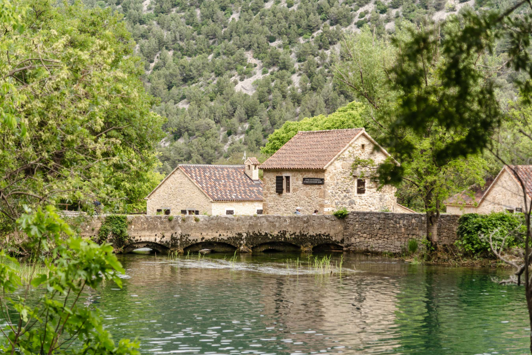 Podijeljeno tisuću sadnica lavande i lovora: 'Želimo očuvati naše ekosustave i poticati bioraznolikost' 