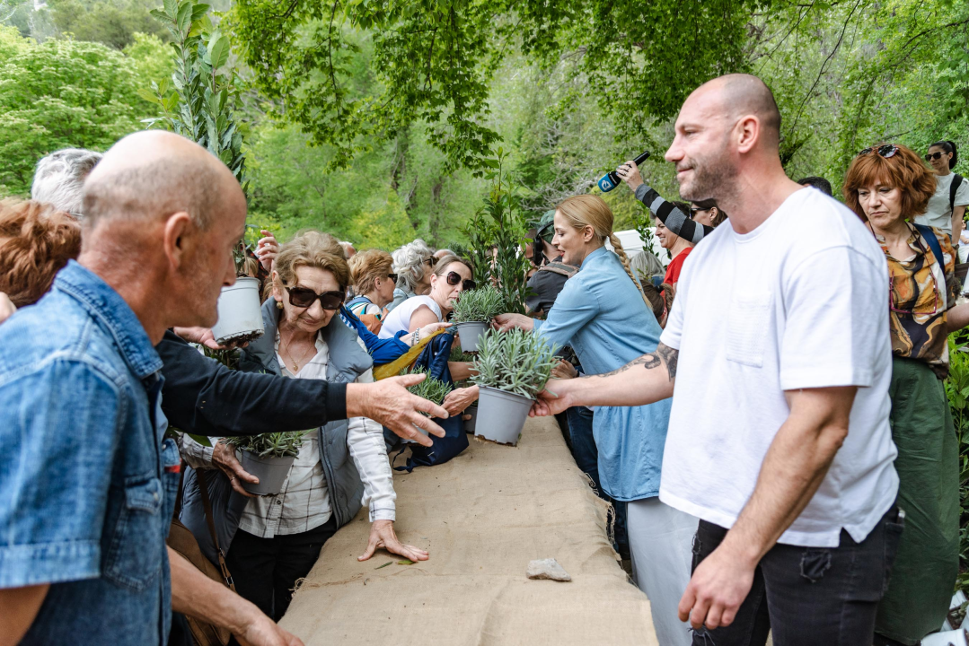 Podijeljeno tisuću sadnica lavande i lovora: 'Želimo očuvati naše ekosustave i poticati bioraznolikost' 