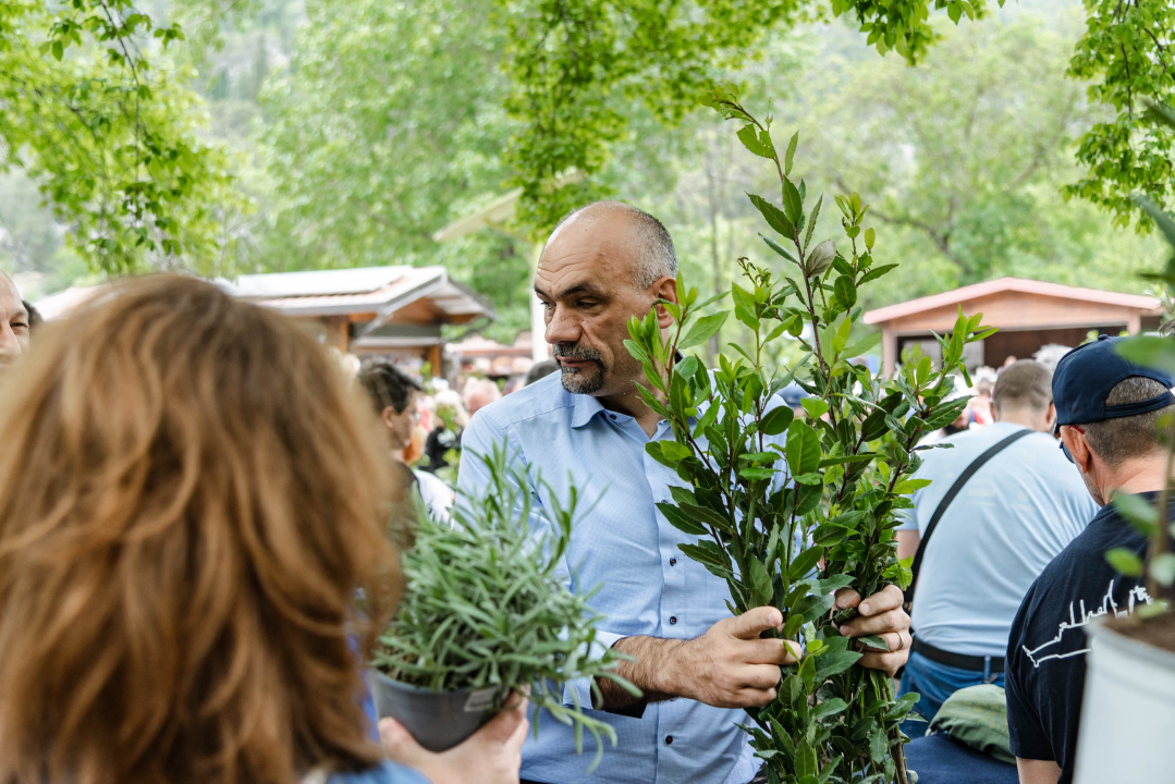 Podijeljeno tisuću sadnica lavande i lovora: 'Želimo očuvati naše ekosustave i poticati bioraznolikost' 
