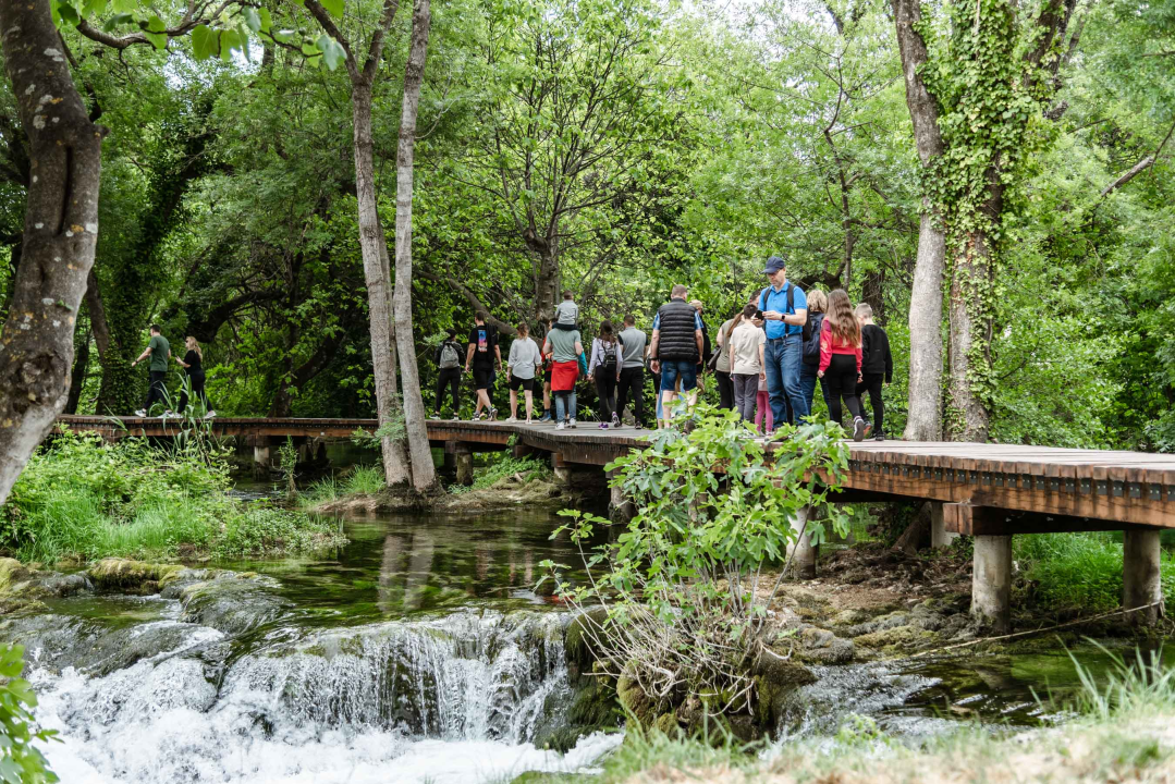 Podijeljeno tisuću sadnica lavande i lovora: 'Želimo očuvati naše ekosustave i poticati bioraznolikost' 