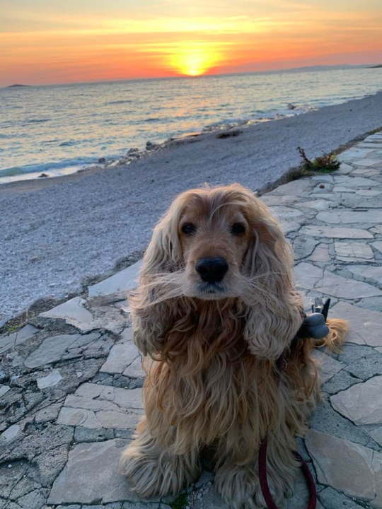 Omiljeni bistro Kod Starog odlično je odredište i u ljetnim danima!