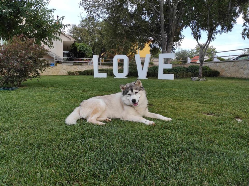 Provjerite tko su naj ljubimci 2024. godine!