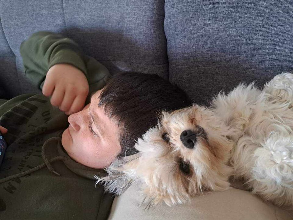 Provjerite tko su naj ljubimci 2024. godine!