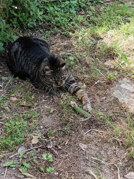Provjerite tko su naj ljubimci 2024. godine!