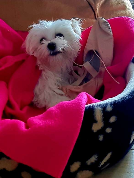 Provjerite tko su naj ljubimci 2024. godine!