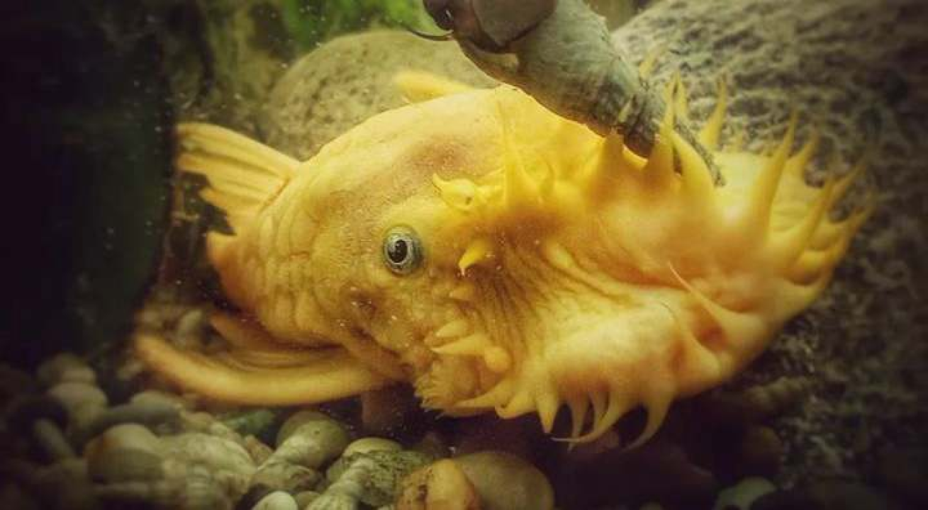 Provjerite tko su naj ljubimci 2024. godine!