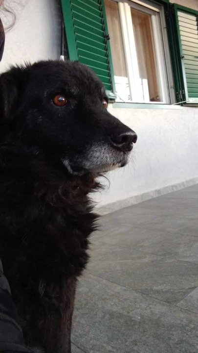 Provjerite tko su naj ljubimci 2024. godine!