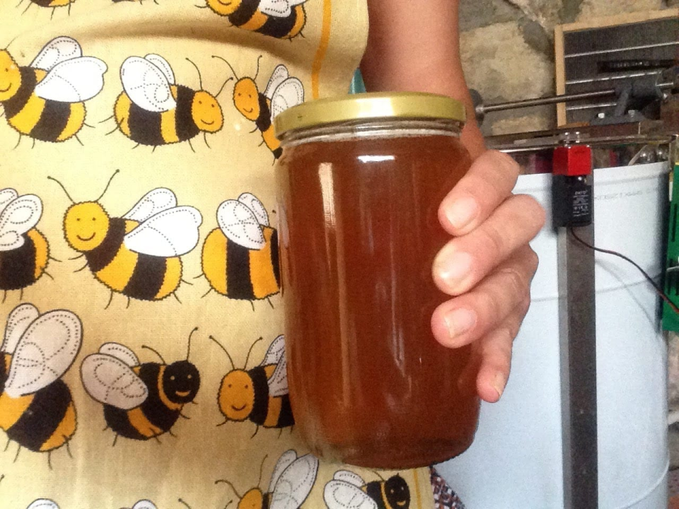 Doris Banić u Dubravicama ima penthouse i hotel, a njezini 'gosti' boravak ne plaćaju