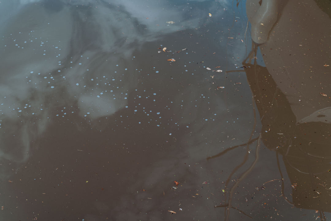 Obilna kiša poplavila rivu i zamutila more: ‘Smrad fekalija je nesnošljiv’ 