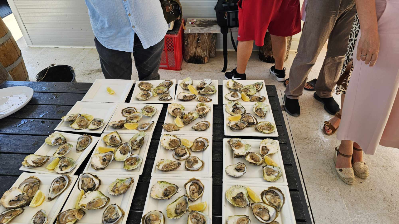 Turizam u Dalmaciji počeo je prije 180 godina u Šibeniku, a danas smo prošli rutom prvih turista