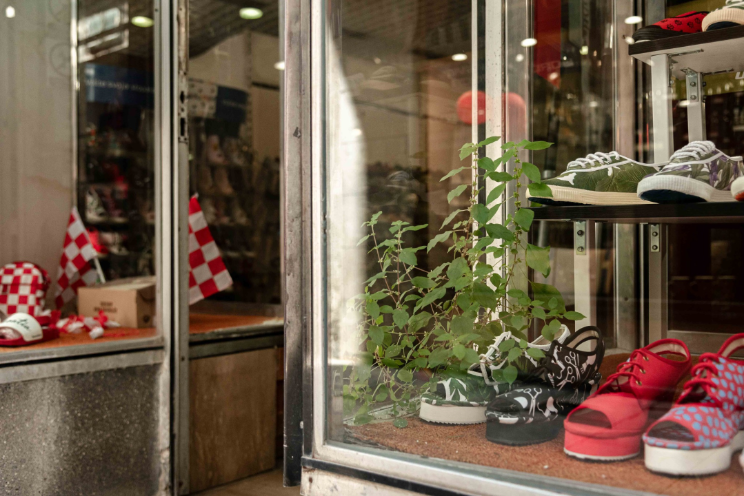 Borovu u Kalelargi izlog dekorira Majka Priroda, inspiracija su joj Borosane 