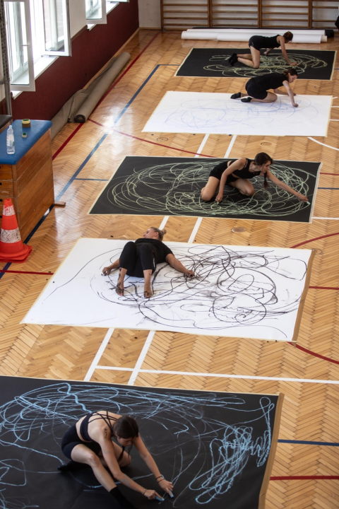 Izvedba ispunjena snažnim emocijama dotaknula je publiku i zaokružila 13. izdanje Šibenik Dance Festivala 