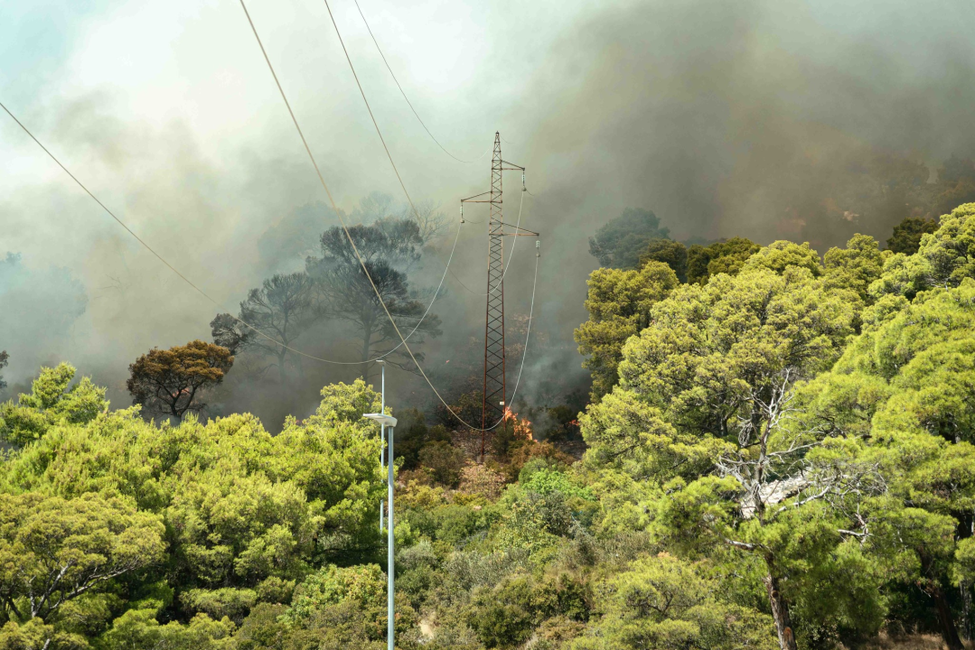 Požar i dalje aktivan, no pod kontrolom je vatrogasaca: Izgorjela je površina od oko 3,5 hektara
