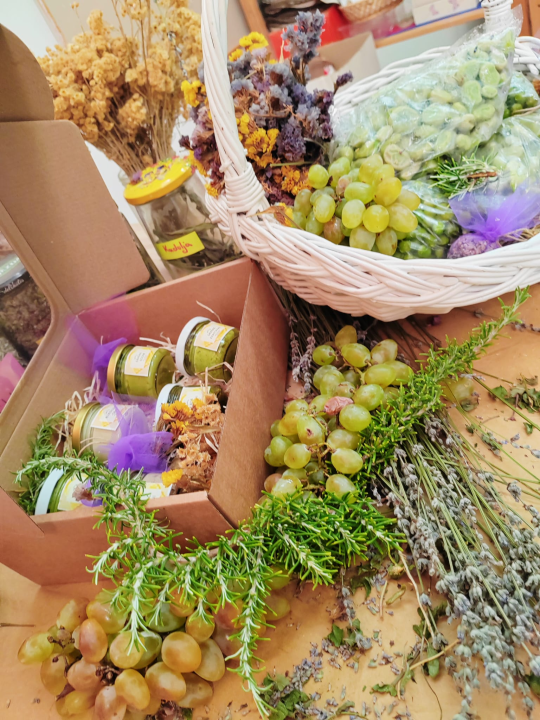 Kninski srednjoškolci u školskom vrtu uzgajaju povrće od kojeg prave namaze