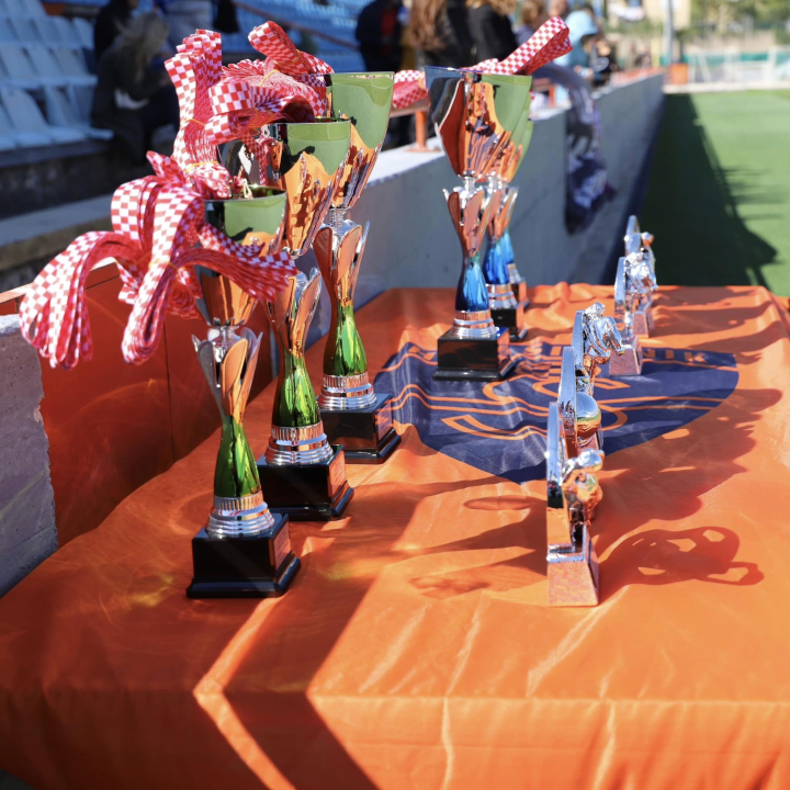 Dječaci Lokomotive i djevojčice iz Stankovaca pobjednici nogometnog turnira na Šubićevcu