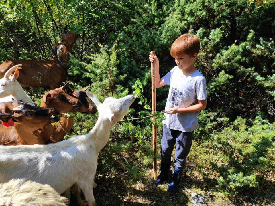 Sve je krenulo s nekoliko ovaca, a danas obitelj Zelenika iz Knina ima pravo životinjsko carstvo