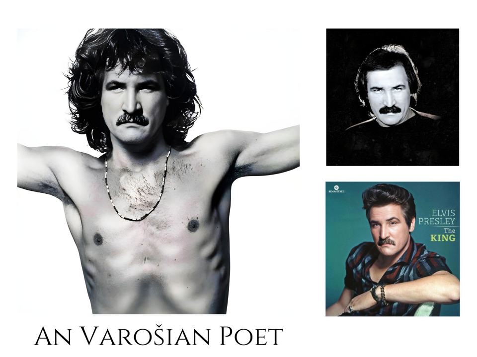 Pogledajte kako umjetna inteligencija vidi šibenske motive