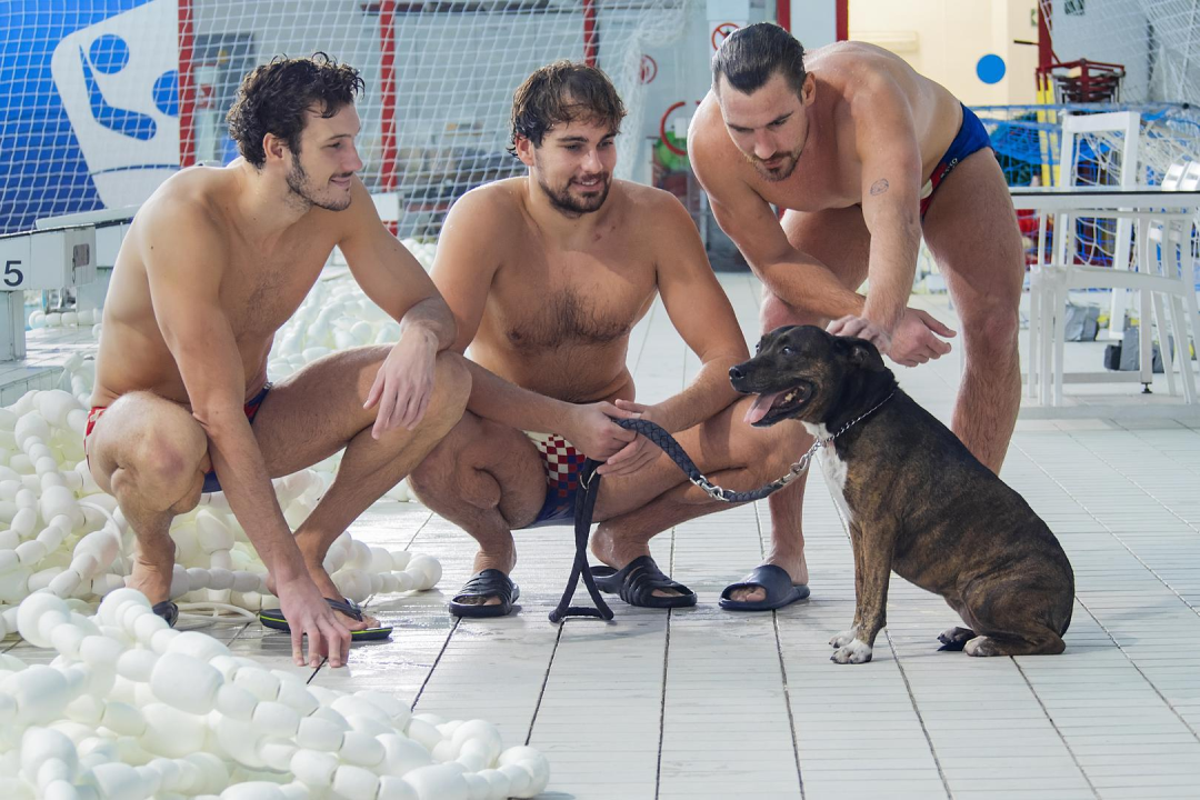 Barakude zagrlile štence i bakicu Alfu u kampanji za spas doma napuštenih pasa