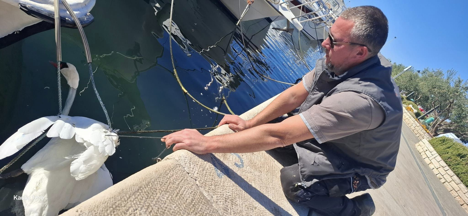 Slučajni susreti kolega vatrogasaca u Pirovcu doveli do neobične akcije spašavanja 