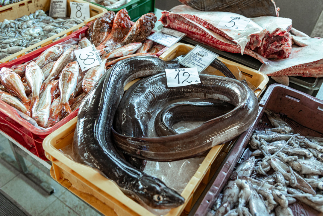 Prepuni banci na šibenskoj peškariji, kupaca ne fali, ali bira se jeftinije