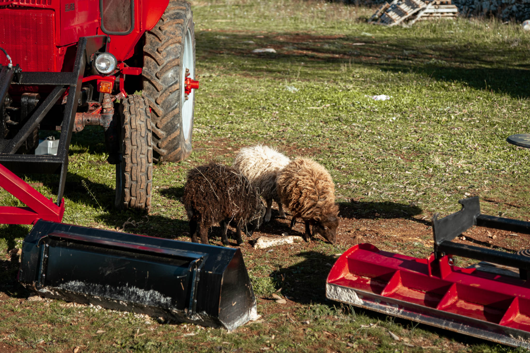 Jelena, Nina i Srećko oduševe svakoga tko posjeti Happy Horse u Dubravi