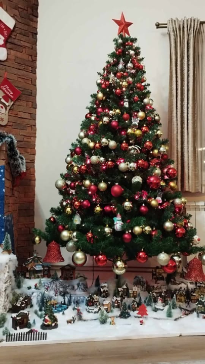 Provjerite tko su pobjednici izbora za naj jelku!