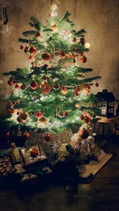 Provjerite tko su pobjednici izbora za naj jelku!