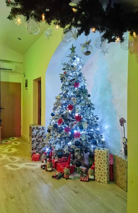 Provjerite tko su pobjednici izbora za naj jelku!