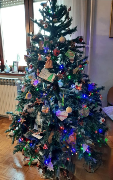 Provjerite tko su pobjednici izbora za naj jelku!