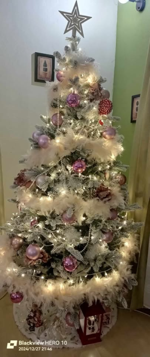 Provjerite tko su pobjednici izbora za naj jelku!