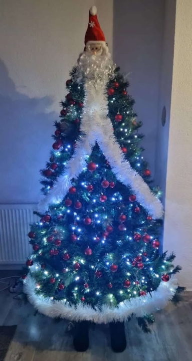 Provjerite tko su pobjednici izbora za naj jelku!