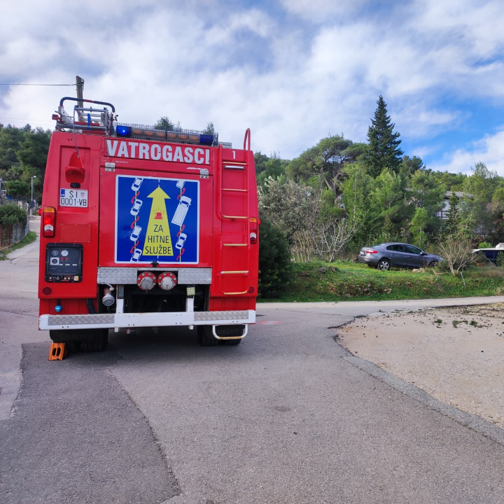 Bilički vatrogasci uklanjali stablo s prometnice