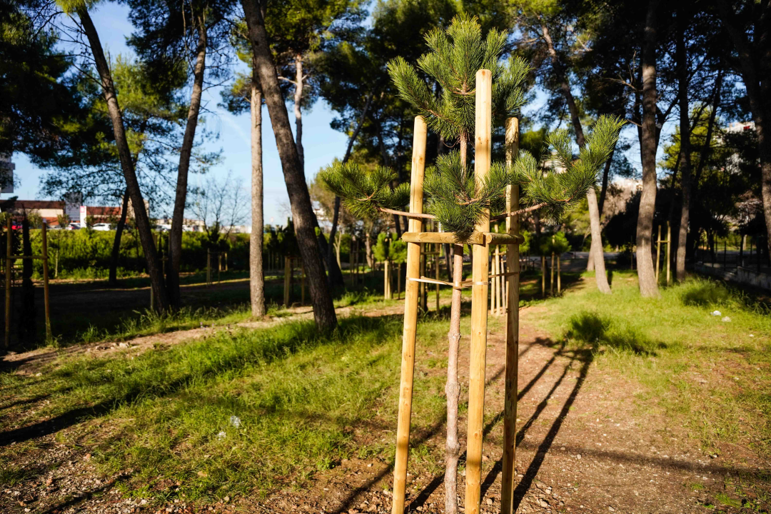 Radovi na trim stazi u Rasadniku počinju kroz deset dana: U prvoj fazi uređena tri igrališta za petanku