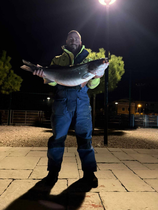 Rekordni ulov: Brancin od 8 kilograma ulovljen na sviću kod Srime