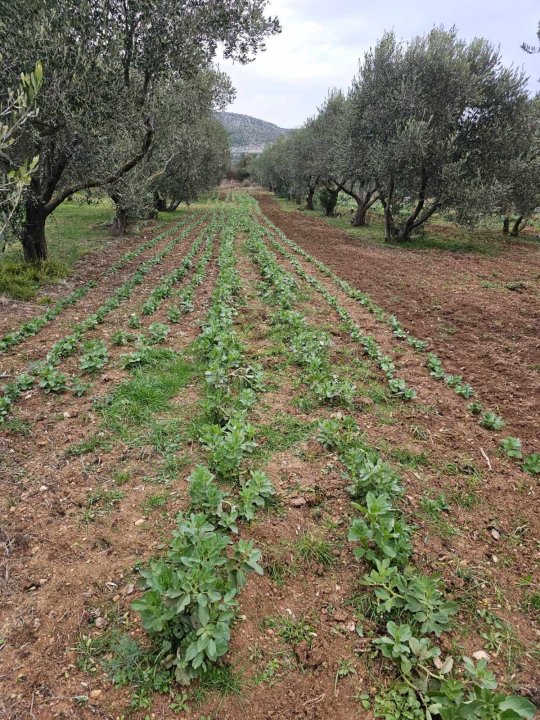 Ivan Jurković uspješan je glazbenik, sportaš i poljoprivrednik