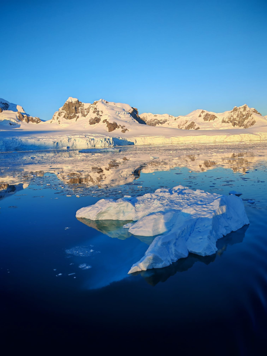 Veliki Gogo na sedmom kontinentu: 'Ako bi Antarktiku trebao opisati riječima, osjećao bi se da abnormalno umanjujem doživljaj' 