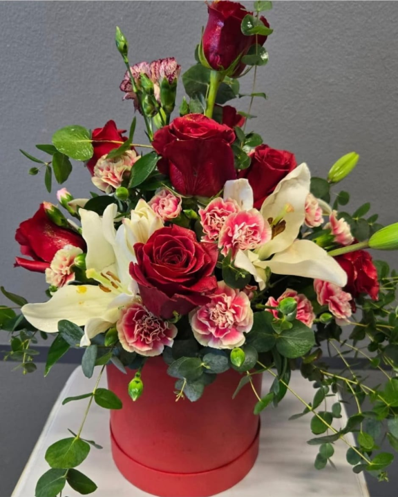 FOTO Safirni jubilej: Čempresi obilježavaju 65 godina postojanja