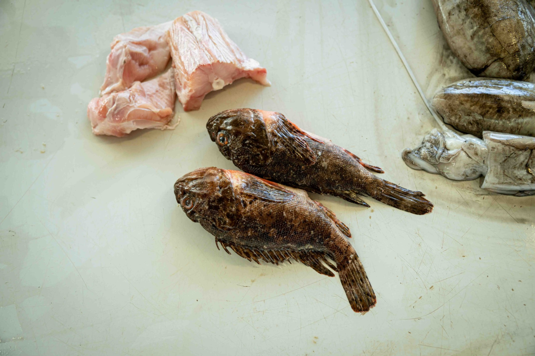 Veliki petak na šibenskoj pijaci: Traži se meso i zelenje, na peškariji nema gužve