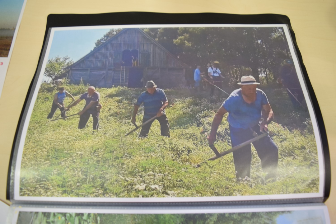 Održan prvi Festival bioraznolikosti u poljoprivredi u Eko kampusu 'Krka'