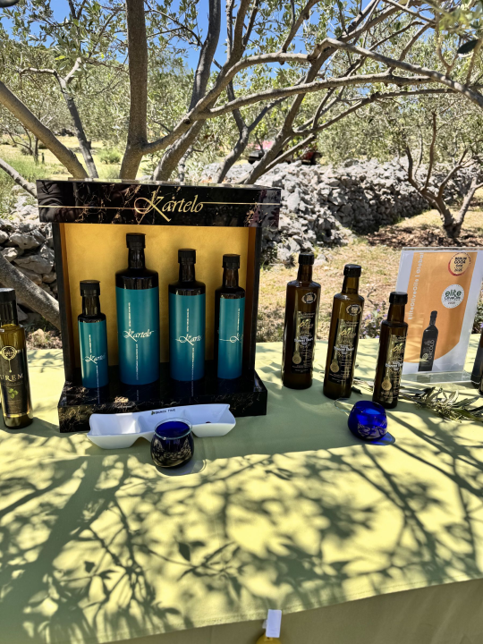 Pirovačka Udruga 'Uljanica' proslavila vrijedna međunarodna priznanja