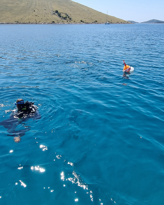 U NP Kornati postavljeni kolektori za prikupljanje mlađi periske