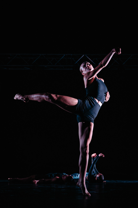 Govor tijela jači od riječi: Večer snažnih poruka na Šibenik Dance Festivalu