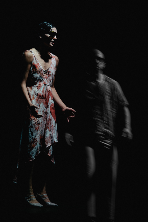 Govor tijela jači od riječi: Večer snažnih poruka na Šibenik Dance Festivalu