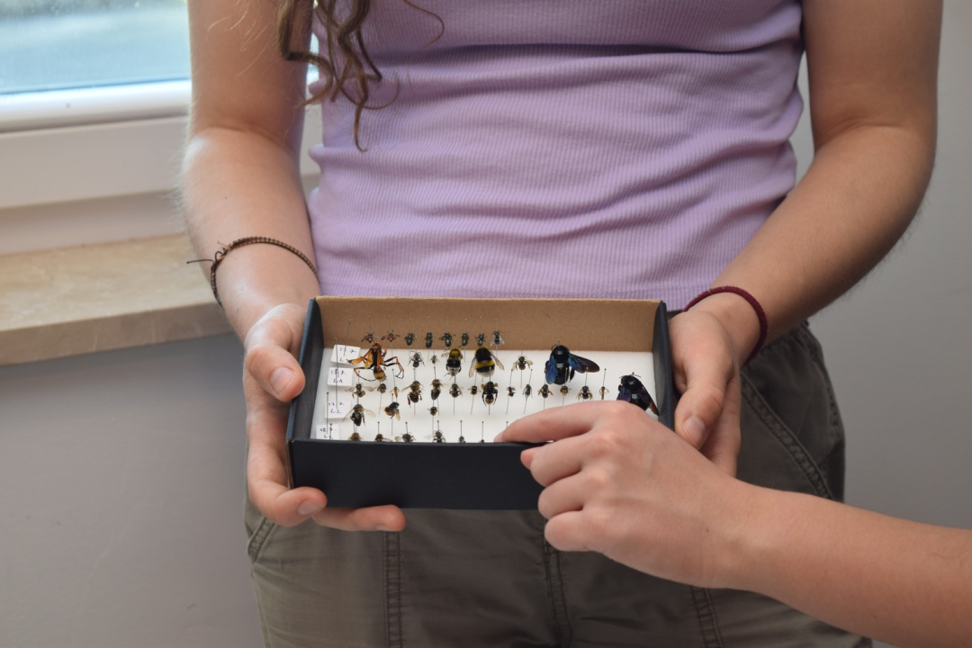 Mladi čuvari prirode: Junior Ranger grupa okupila se u Eko kampusu 'Krka' Puljani